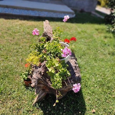 Villa Karolina Ohrid Ngoại thất bức ảnh