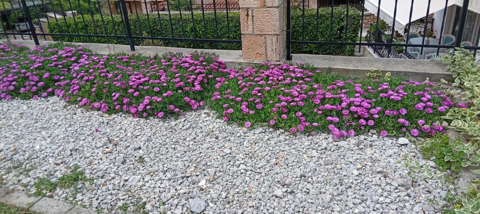 Villa Karolina Ohrid Ngoại thất bức ảnh