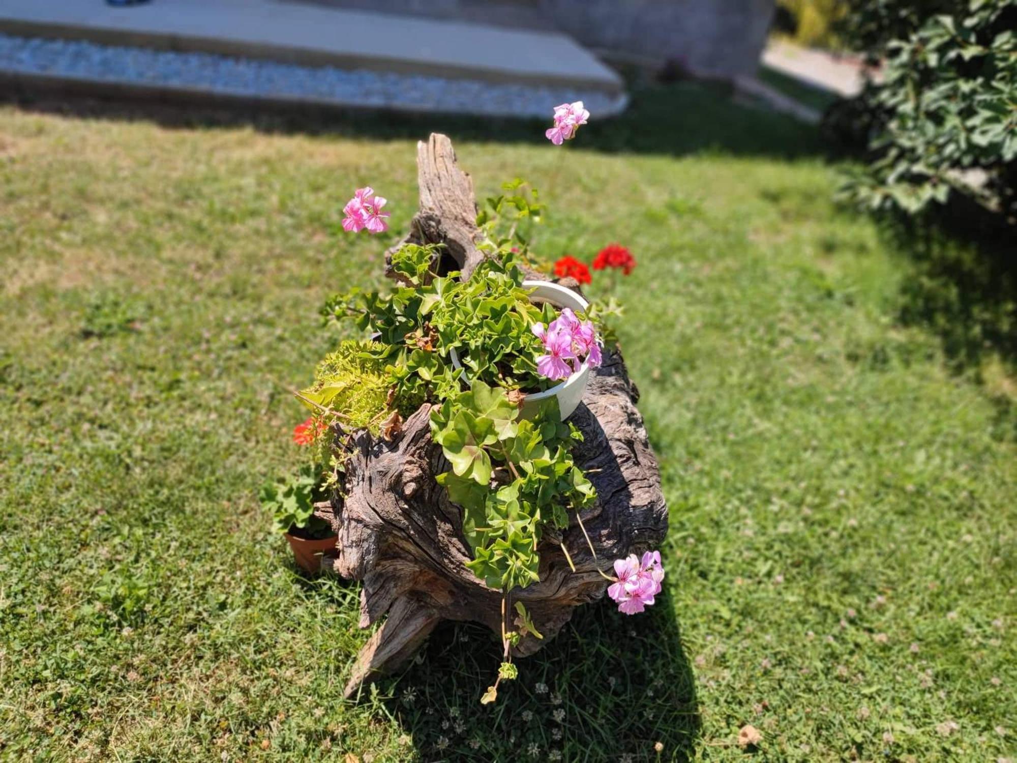Villa Karolina Ohrid Ngoại thất bức ảnh